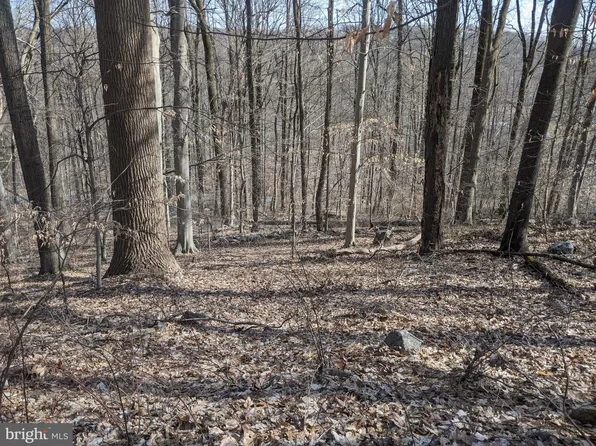 1611 Sheeder Mill Rd, Spring City, PA 19475