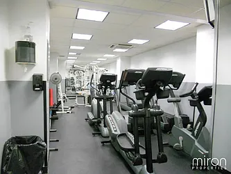 Rented by Miron Properties