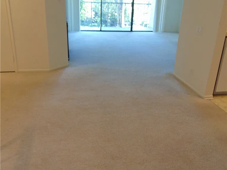 2203 Apricot — Photo 4