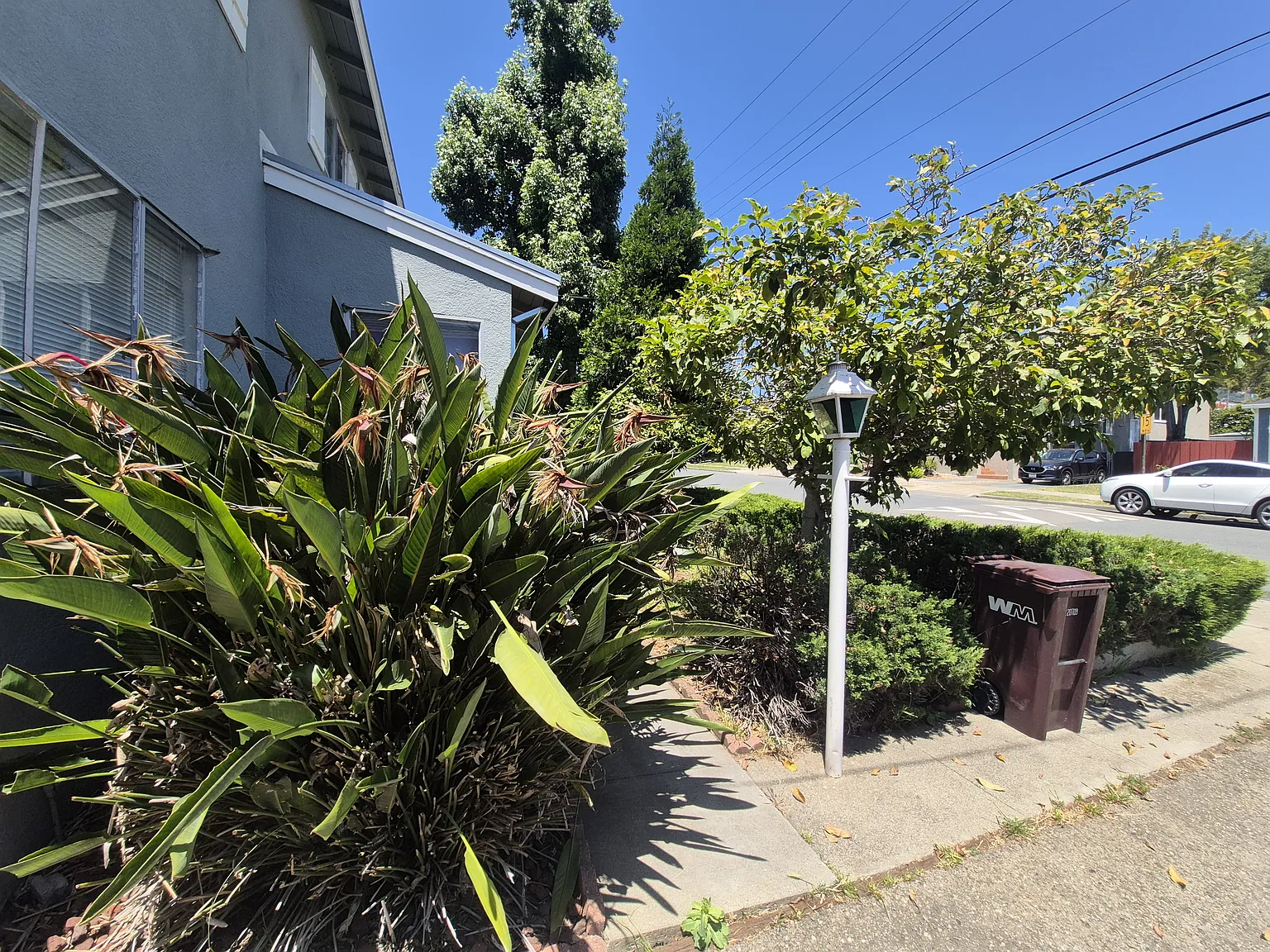 Quigley St, Oakland — Photo 4