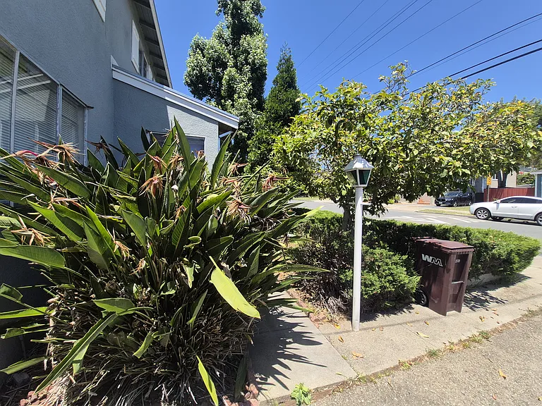 Quigley St — Photo 4