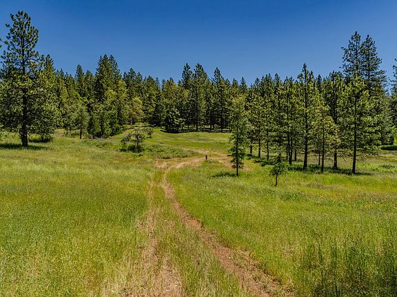 3rd image of 25755 State Highway 88