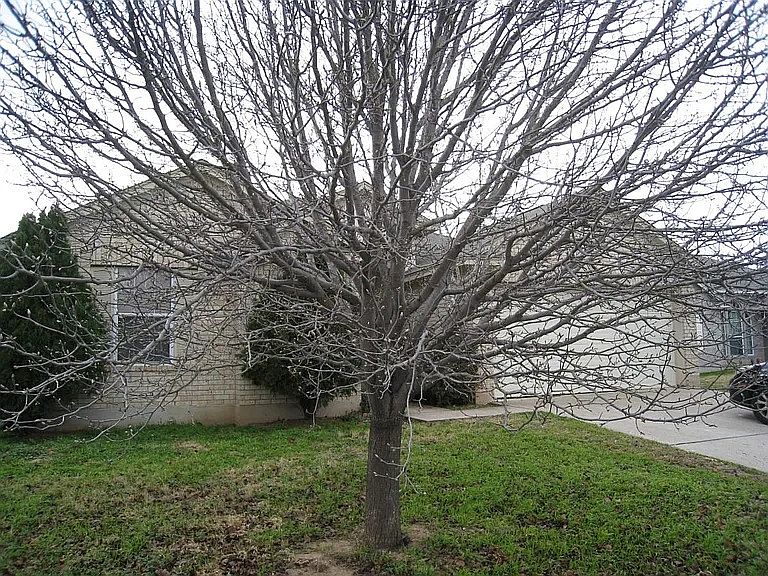 1st image of 709 Camino Real Dr