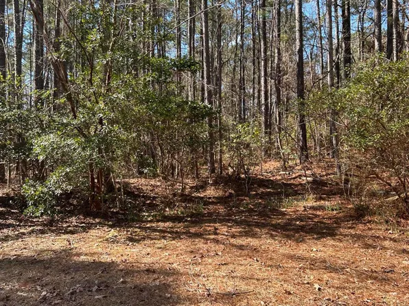 0 Belgrade Swansboro Road, Stella, NC 28582