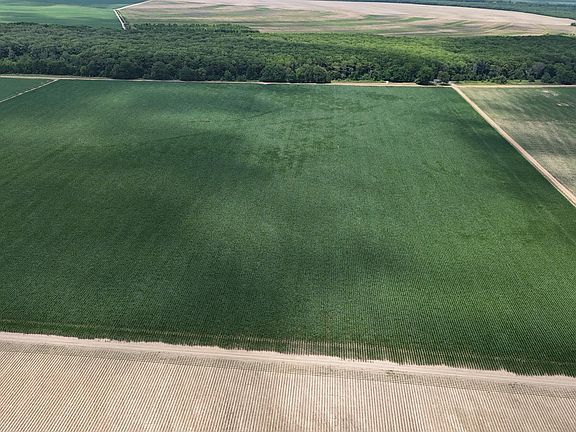 2nd image of County Road 553