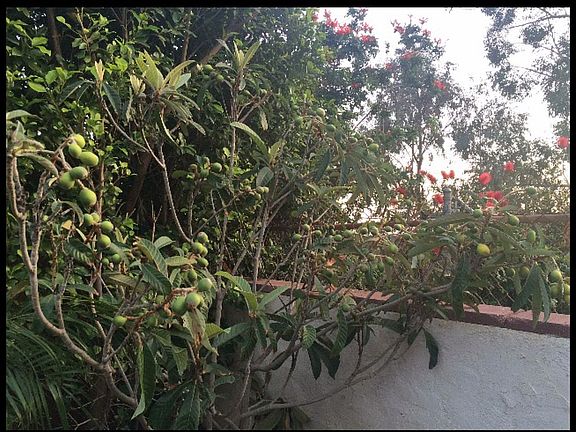 5th image of 13955 Tucker Ave