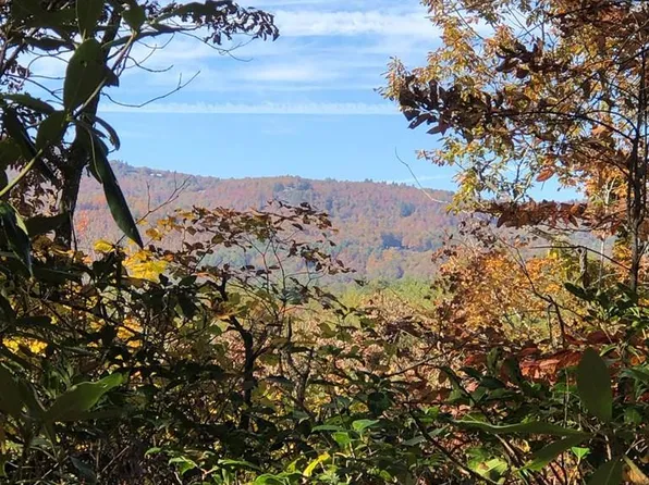 148 Deer Run Rd, Sapphire, NC 28774