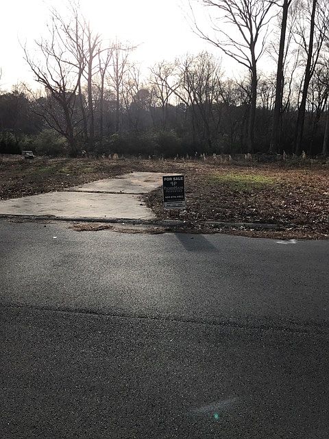 Looking Directly at Lot