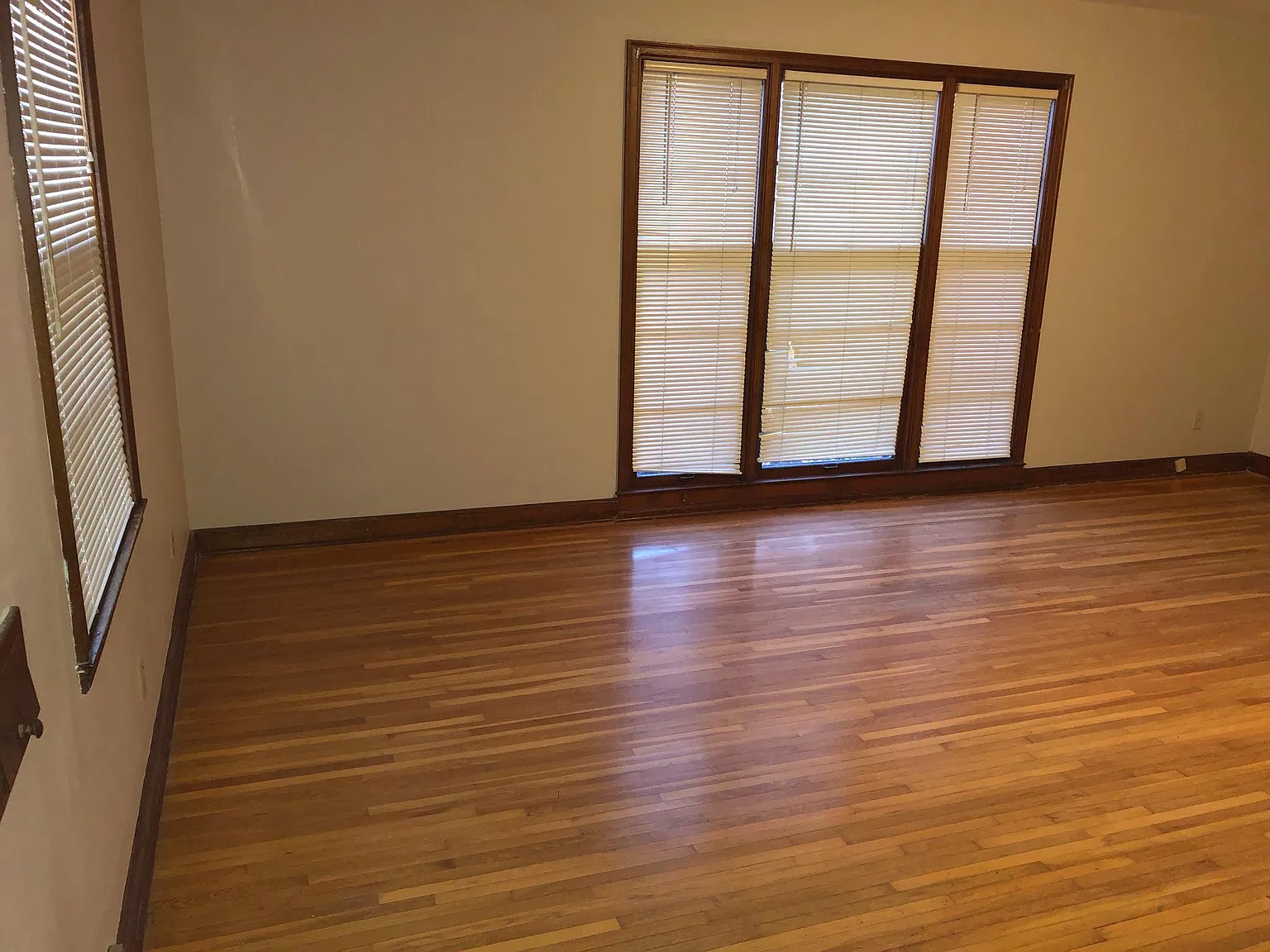 1 bed, 900 sqft, $895 — Photo 2