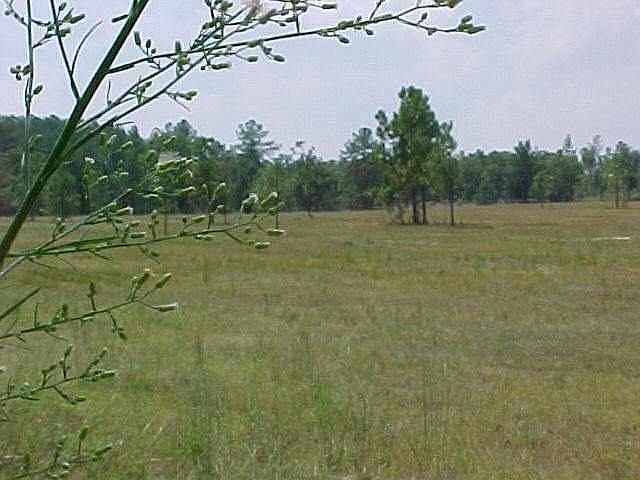 1st image of TBD Youngs Road LOT 6