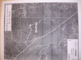 33533 Grace View Ln, Pine, CO 80470