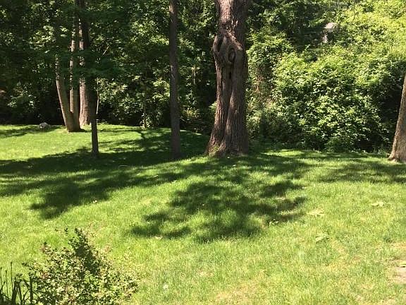 5th image of 224 Foxtrail Ct