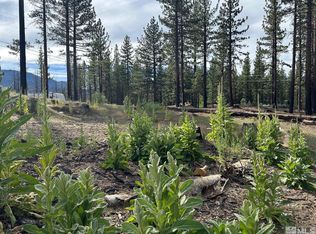 606 Pleasant Valley Rd, Markleeville, CA 96120