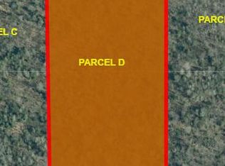 PARCEL Black Point Rd #D, Moran, MI 49760