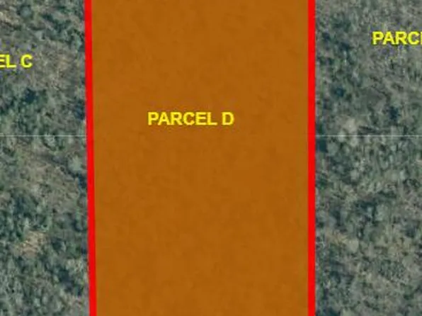 PARCEL Black Point Rd #D, Moran, MI 49760