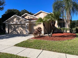 5807 Laguna Woods Ct, Tampa, FL 33625