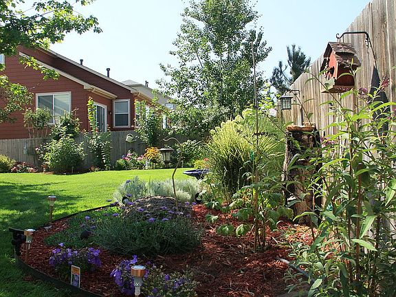 Prof. Landscaped backyard