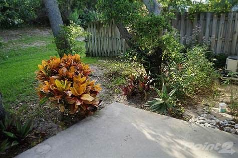 patio View