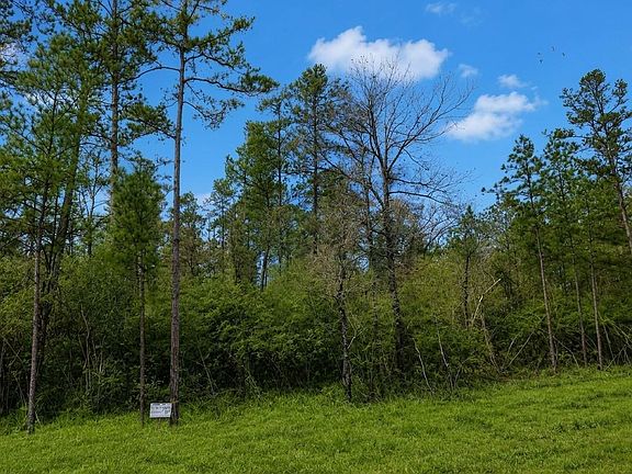 5th image of 15633 Ridge Rock Rd Lot 22