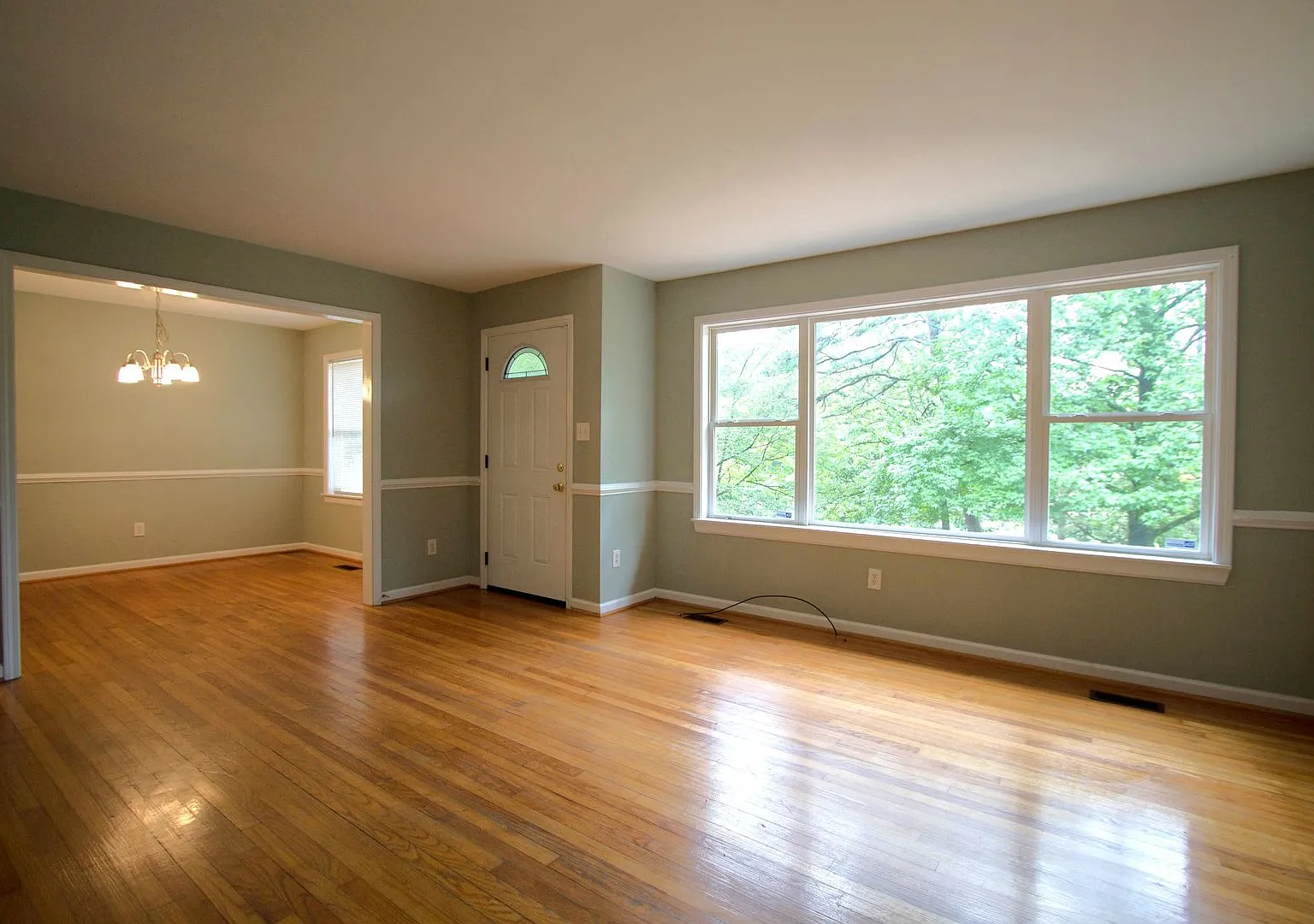 New For Rent! — Photo 4