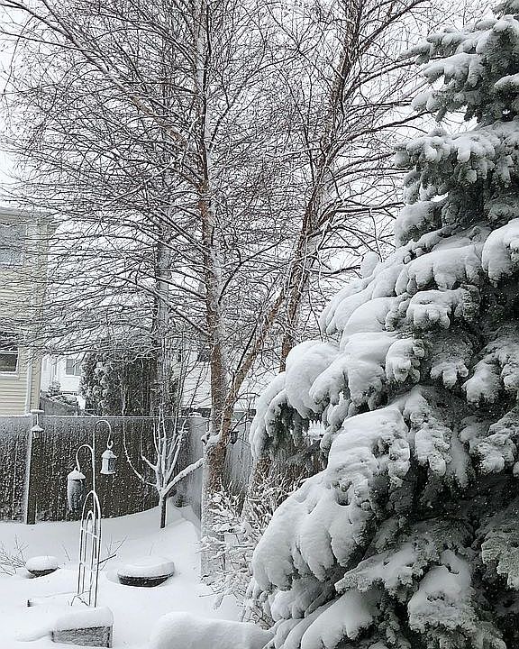 2nd image of 61 Tapley Ave