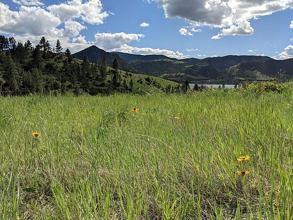 3rd image of Mountain Lion Gulch