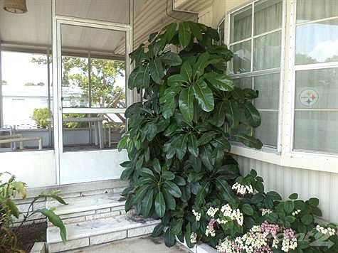 ENTRANCE TO FLA ROOM