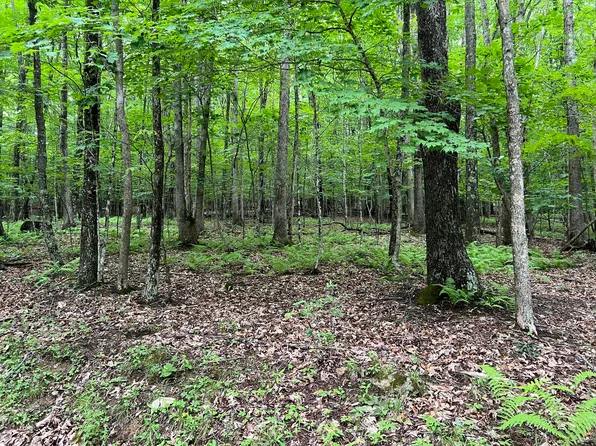 Lobelia Rd, Hillsboro, WV 24946