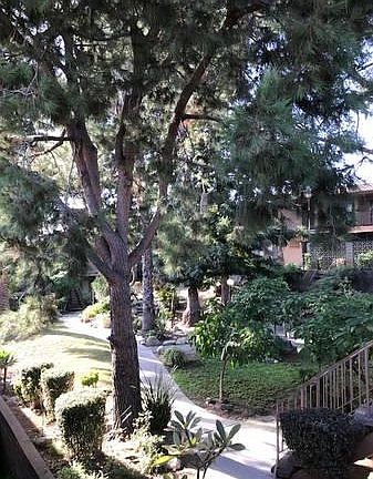 3rd image of 338 S Avenue 60 #17
