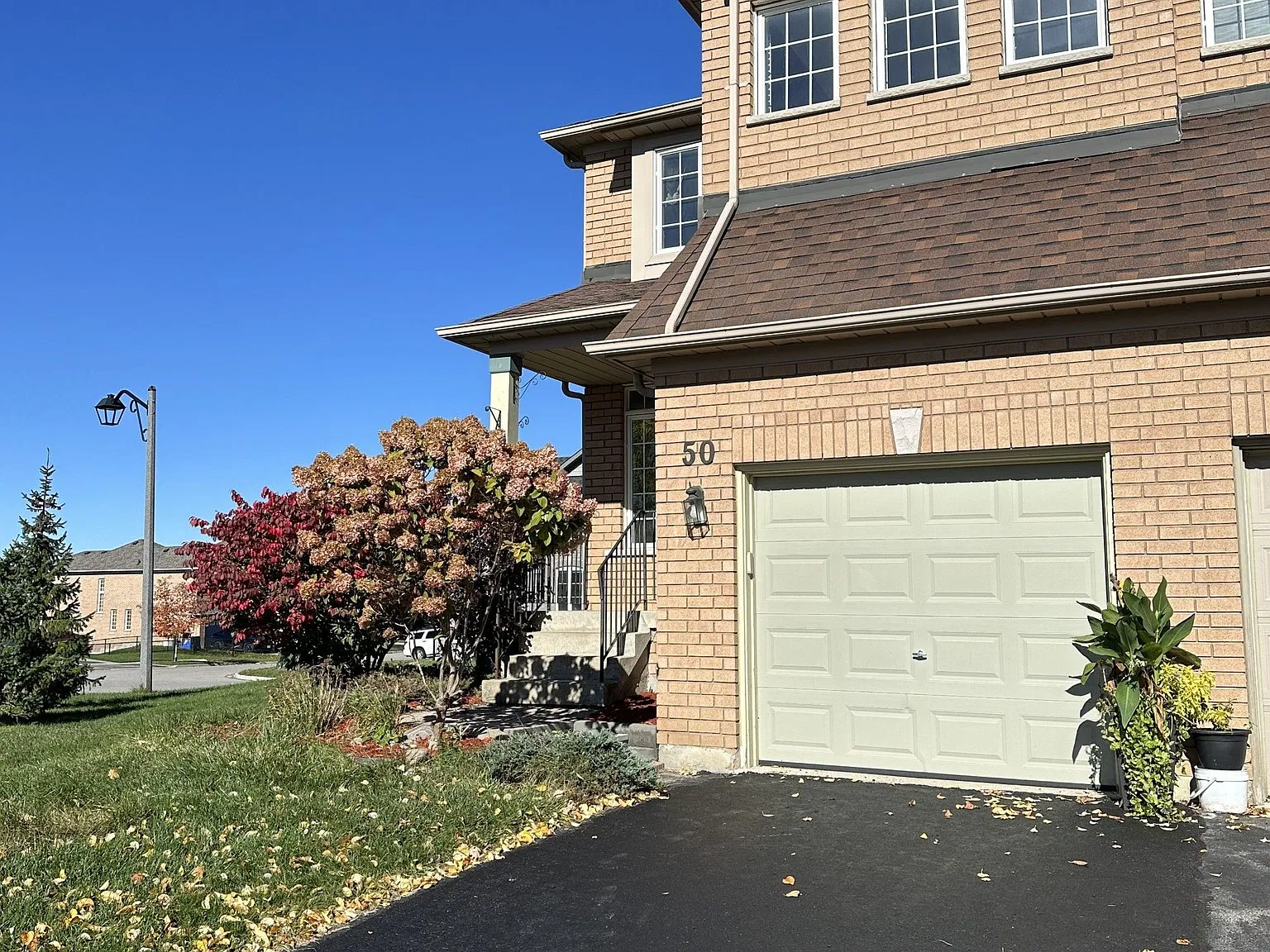 3 bed, $2,900 — Photo 3