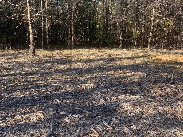 Bristersburg Rd, Catlett, VA 20119