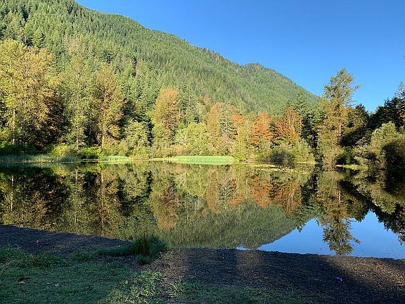 Brewster Lake backyard