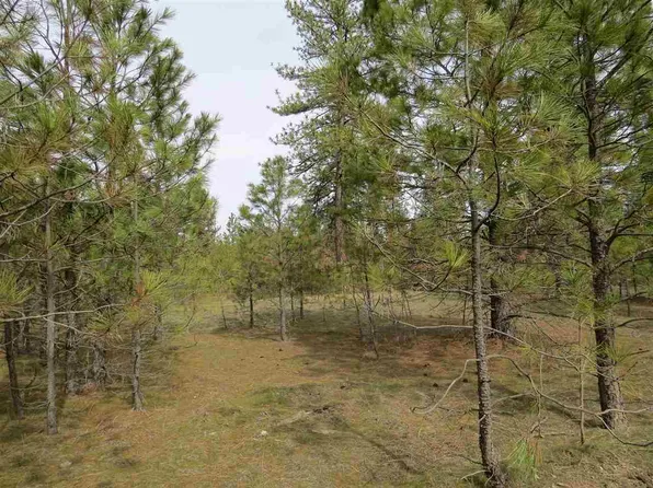 7602 Elaine Street Way, Ford, WA 99013
