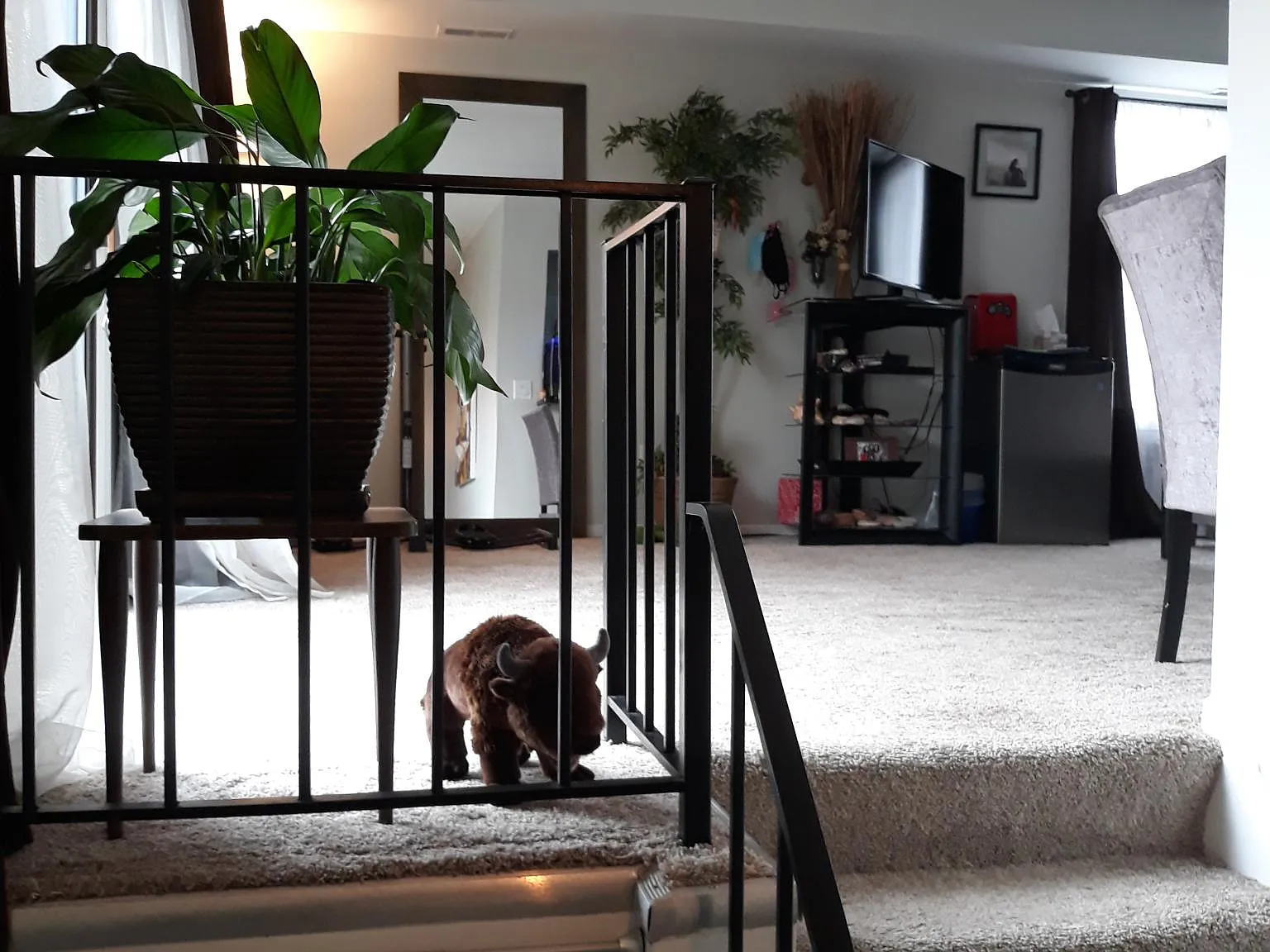 2 bed, 1197 sqft, $1,500 — Photo 3
