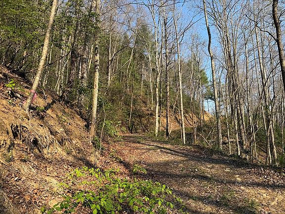 2nd image of 5 Huffman Creek Rd