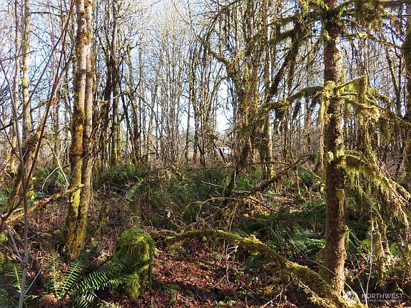 3rd image of 115 Campground Lane