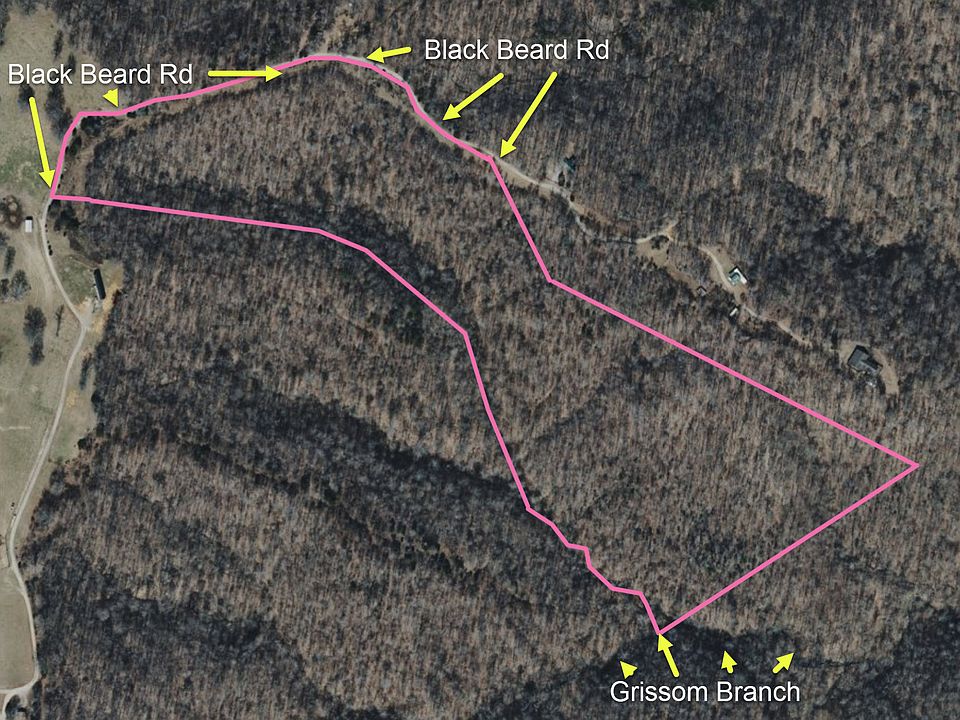 2nd image of 242 Black Beard Rd