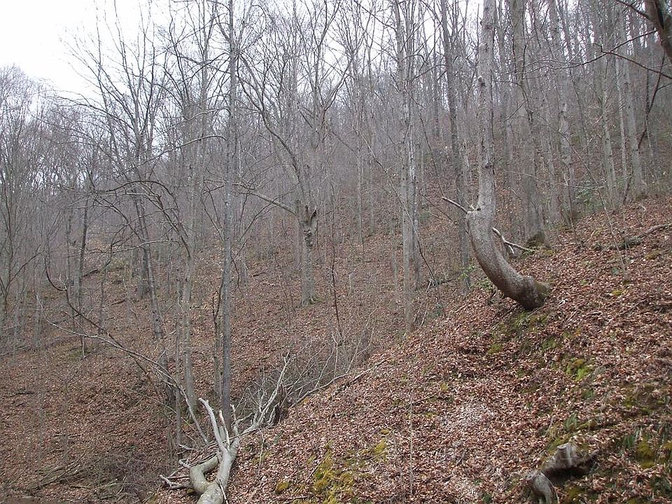1st image of 275 Dennis Holw