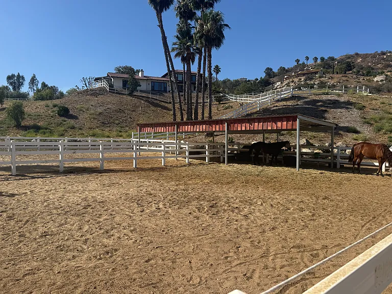 7280 Via Mariposa Norte — Photo 47