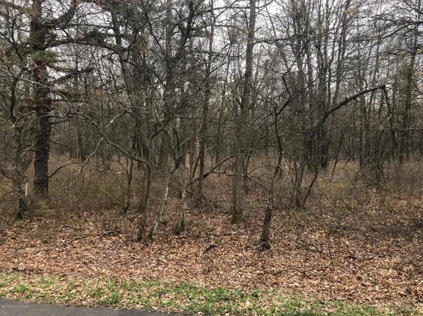 Dilldown Dr, Jim Thorpe, PA 18229