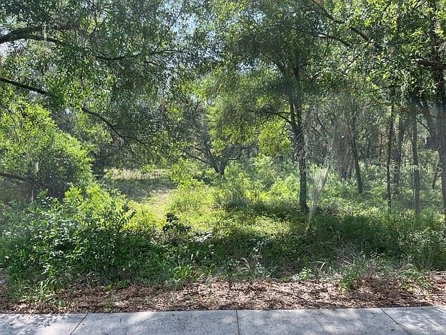 2nd image of (Undisclosed Address)