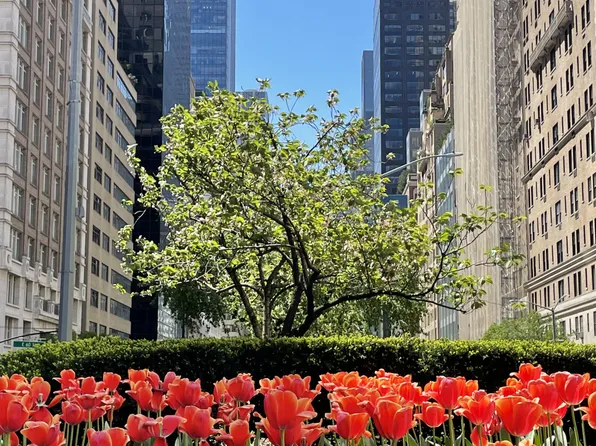 115 East 61st Street image 11 of 11