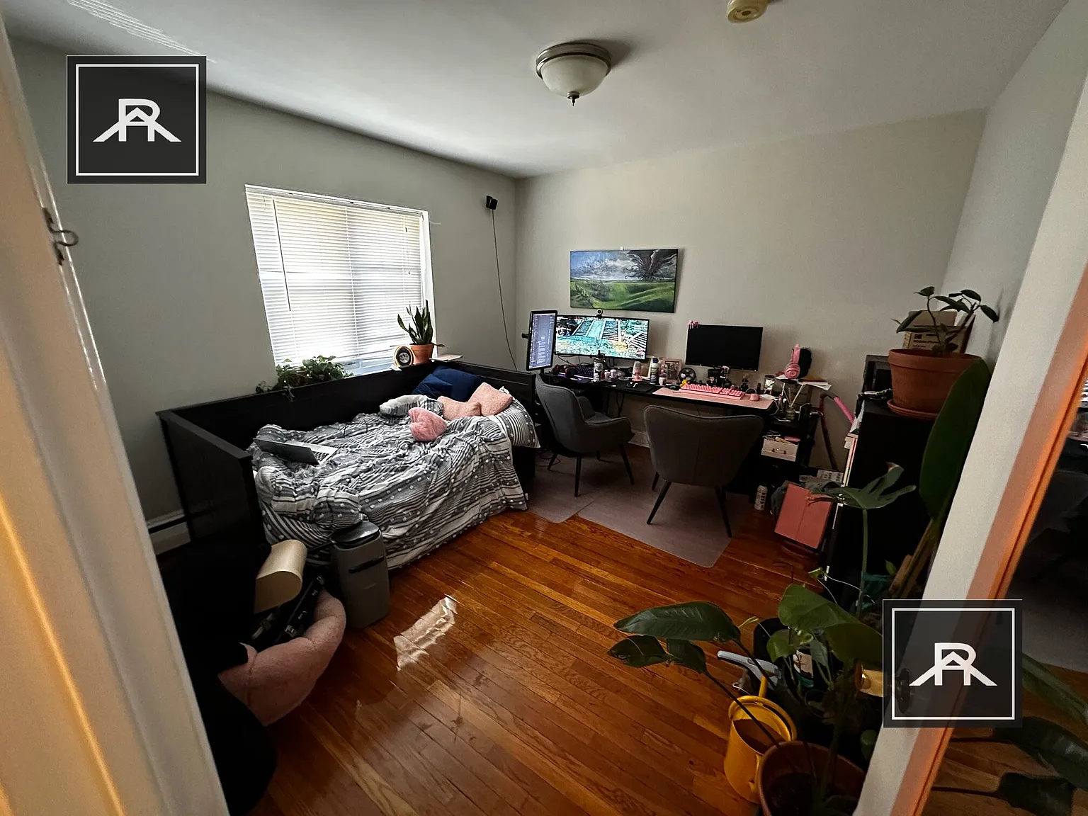 2 bed, 1.0 bath, $3,000 — Photo 3