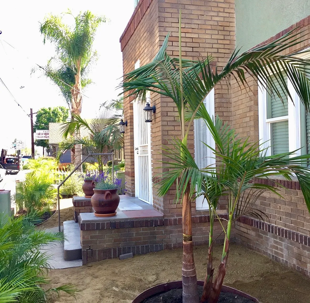 1 bed, 885 sqft, $2,395 — Photo 1