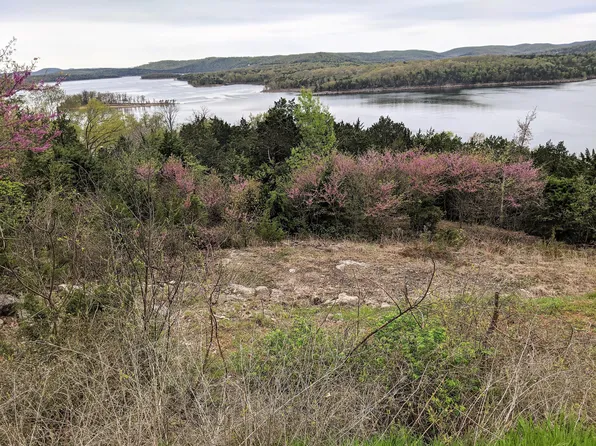 Lots 39-40 Jackson Hollow Road, Galena, MO 65656