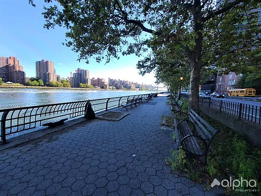 Rented by Alpha Properties NYC I LLC | media 3