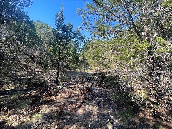 2nd image of 12095 Shady Creek Dr