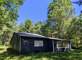 5247 N Access Rd, Irons, MI 49644