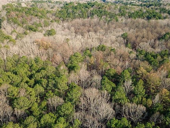 4th image of 0 Doke Cohran Rd