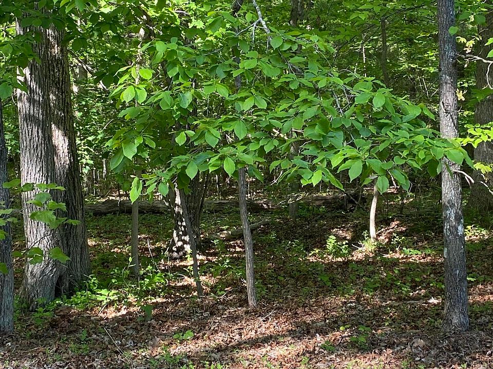 1st image of 4035 Kila Dr